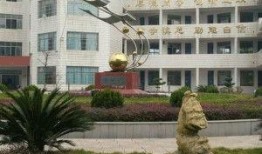 武汉第九中学爆料视频最新,揭秘校园内幕引发热议