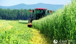 黑龙江农场爆料事件最新,揭露背后惊人真相